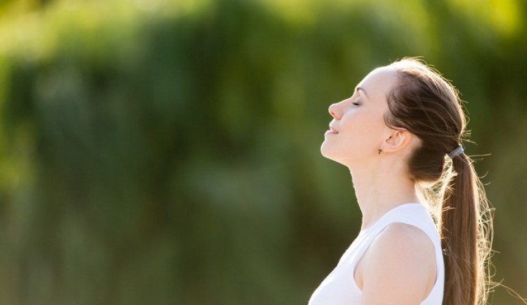 เครื่องฟอกอากาศจากธรรมชาติ