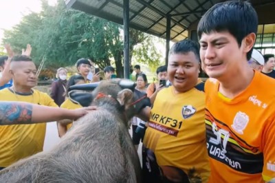 น้ำตาพระเอก! น้ำ รพีภัทร เปิดเหตุผลที่ขายควายทั้งน้ำตา มูลค่ากว่า 2 ล้านบาท