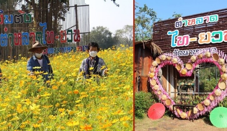 ราชบุรี ชวนเที่ยว วันหยุดส่งท้ายปีเก่าต้อนรับปีใหม่ ต๋าหลาดไท-ยวน ชมวิถีชุมชน-ชิมอาหารพื้นบ้าน “ล้ำลำมาก”