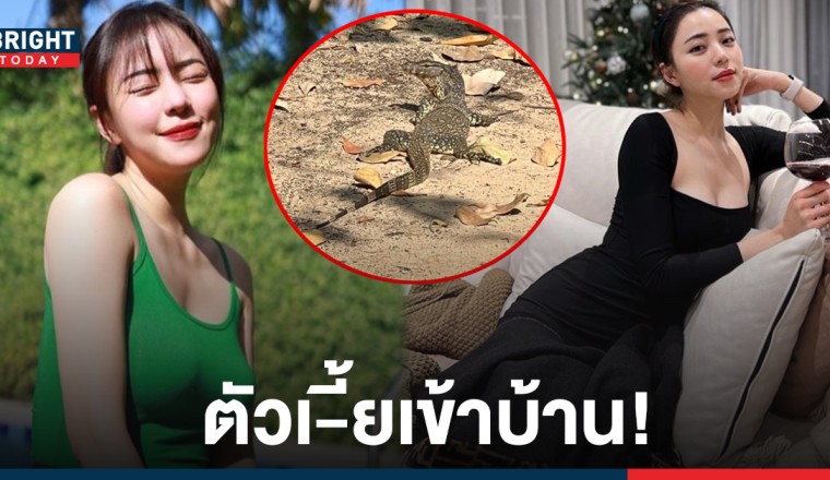 คลานมาหาถึงที่! นิวเคลียร์ มีแววรับโชคทั้งปี หลังตัวเงินตัวทองบุกบ้าน ต้อนรับปี 65