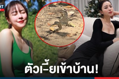 คลานมาหาถึงที่! นิวเคลียร์ มีแววรับโชคทั้งปี หลังตัวเงินตัวทองบุกบ้าน ต้อนรับปี 65