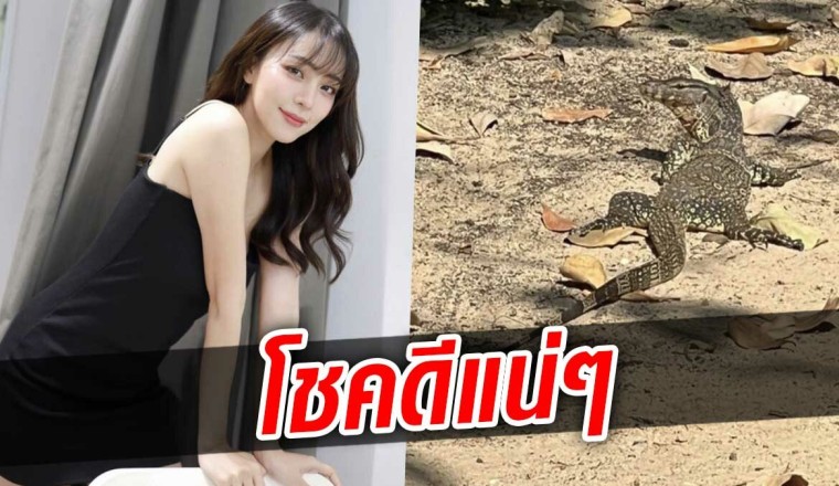 นิวเคลียร์ เตรียมรับโชคปีใหม่ ตัวเงินตัวทองเยือนบ้าน ตัวใหญ่มาก