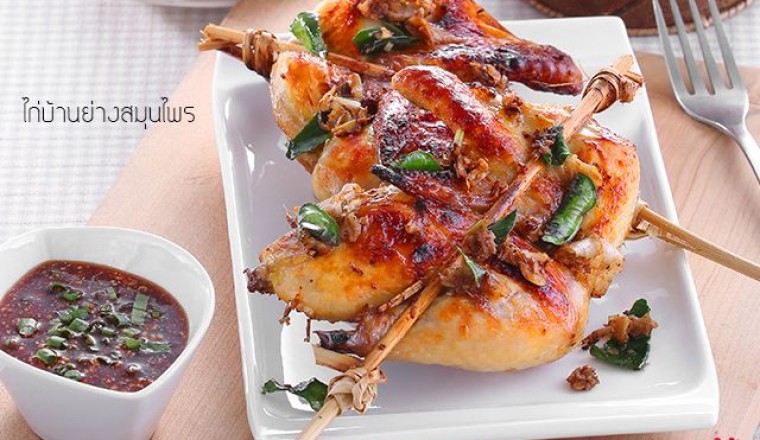 ไก่บ้านย่างสมุนไพร น้ำจิ้มแจ่ว อาหารภาคอีสาน