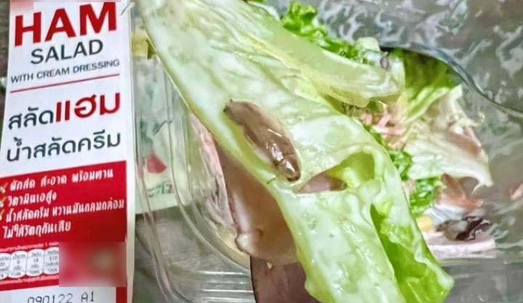ออแกนิคจัดๆ สาวซื้อสลัดจากร้านสะดวกซื้อ กินได้ไม่กี่คำเจอ แมลงสาบ ยันเพิ่งเปิดกล่อง