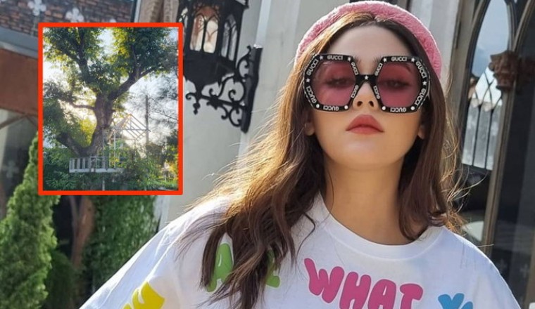 ชมพู่ อารยา อัปเดตบ้านใหม่