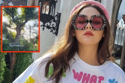 ชมพู่ อารยา อัปเดตบ้านใหม่