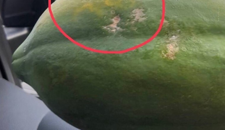 นาย ณภัทร ตอบสัมพันธ์ แพท ณปภา ยังรักกันดี? หลังฝ่ายหญิงบอก…ไม่มีแฟน