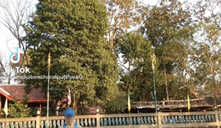 ตำนานบทใหม่! กระโดดเชือก ยังไงให้โลกจำ สายสุขภาพระวังเลือกให้ดีไม่งั้นพลาด