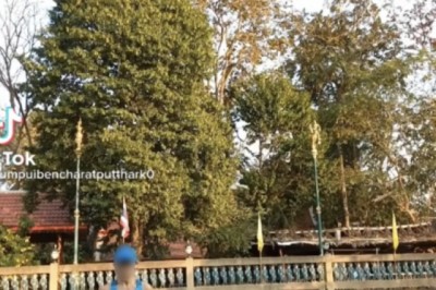 ตำนานบทใหม่! กระโดดเชือก ยังไงให้โลกจำ สายสุขภาพระวังเลือกให้ดีไม่งั้นพลาด