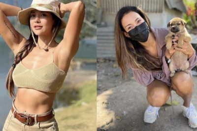 โย ยศวดี เดือด คนใจร้ายเอาสุนัขมาทิ้ง ก่อนประกาศช่วยลูกสุนัขหาบ้าน