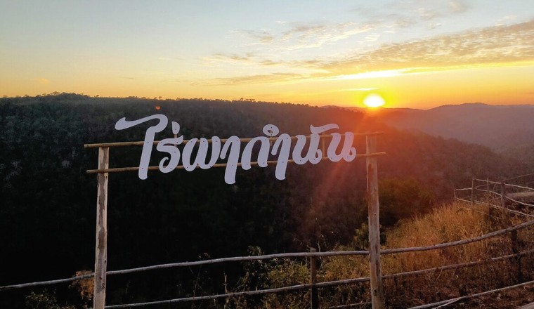 เก็บสตรอว์เบอร์รี่ ไร่ผากำนัน-เขาค้อ