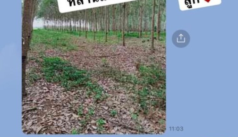 เจนนี่ ได้หมดถ้าสดชื่น อวดภาพแม่สามีเตรียมของขวัญให้หลาน บอกเลยทุ่มไม่อั้น!