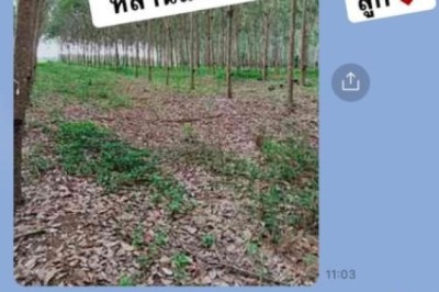 เจนนี่ ได้หมดถ้าสดชื่น อวดภาพแม่สามีเตรียมของขวัญให้หลาน บอกเลยทุ่มไม่อั้น!