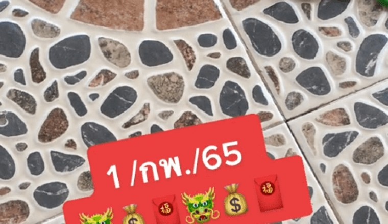 ขนลุก! งวดที่แล้วเข้าตรงๆ 30-08 งวดนี้ 17/2/65 ต้องตามต่อ อย่าพลาด เลขเด็ดจาก “เต่านำโชค”