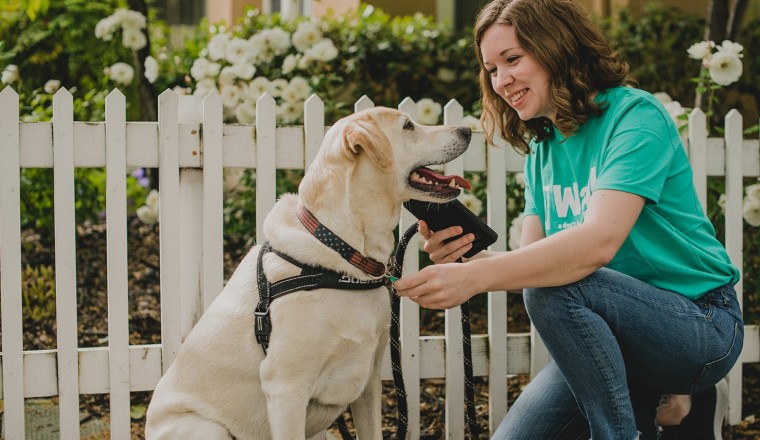 Wag! สตาร์ทอัพหาคนพาน้องหมาเดินเล่น ที่ SoftBank เคยขายหุ้นทิ้ง เตรียมเข้าตลาดหุ้นด้วยวิธี SPAC