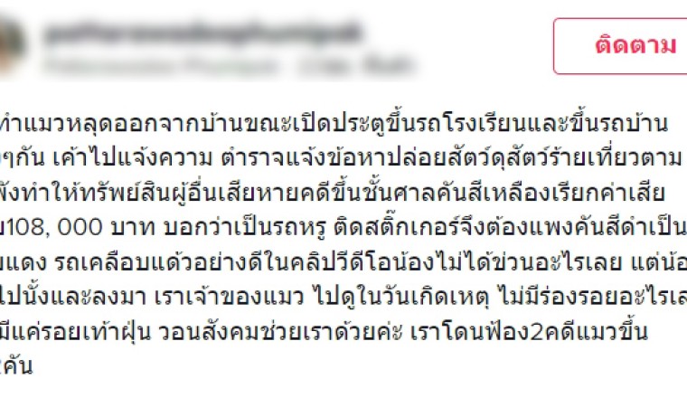 ทาสแมว มีหน้ามืด เจ้าเหมียวขึ้นหลังคารถเพื่อนบ้าน ถูกเรียกค่าเสียหายเป็นแสน