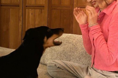 ภาพหาดูยาก ! ลิซ่า BLACKPINK โชว์เหม่ง อวดความน่ารักจัดเต็มคู่เจ้าเลิฟ