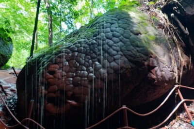 สายมูดูด่วน! เปิดวิธีจองคิว เข้าชม ถ้ำนาคา ผ่าน แอปฯ QueQ ง่าย ๆ แค่ 3 ขั้นตอน