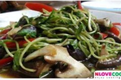 ผัดต้นอ่อนทานตะวัน อาหารง่ายๆแสนอร่อย สำหรับวันนี้