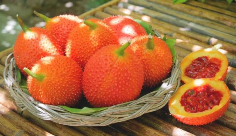 ฟักข้าว สรรพคุณและประโยชน์