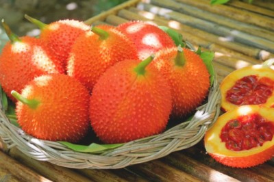 ฟักข้าว สรรพคุณและประโยชน์