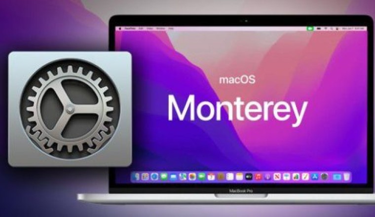 PDAMobiz Talk: macOS Monterey Battery Drain Fix!