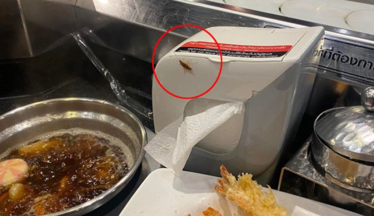 หนุ่มผงะ! กินชาบูบุฟเฟ่ต์เจ้าดัง เจอแขกไม่ได้รับเชิญออกมาต้อนรับ อิ่มทันทีเลย