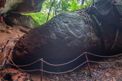 ถ้ำนาคา ปรับเพิ่มจำนวนการจองเข้าผ่านแอป QueQ เริ่มวันนี้