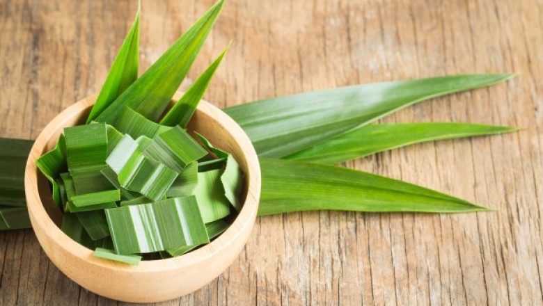 ใบเตยความหอมที่ไม่เคยเชย