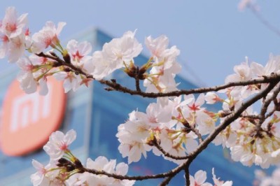 Xiaomi ไตรมาส 4/2021 รายได้รวมโต 21% แม้เผชิญปัญหาซัพพลายเชน