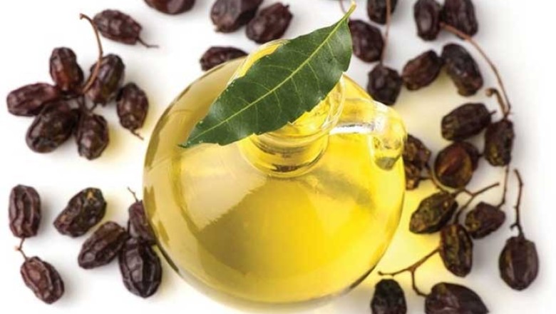 สรรพคุณ 4 ข้อของน้ำมันสะเดาที่คุณไม่ควรมองข้าม