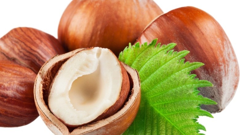 ประโยชน์ของเฮเซลนัทสำหรับผิวและเส้นผม