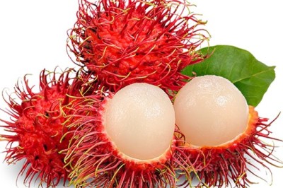 เงาะ สรรพคุณและประโยชน์