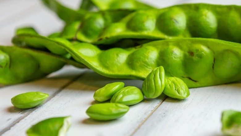 สะตอ สรรพคุณและประโยชน์