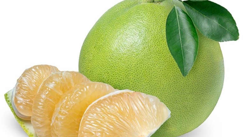 ส้มโอ สรรพคุณและประโยชน์