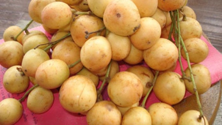 มะไฟ สรรพคุณและประโยชน์