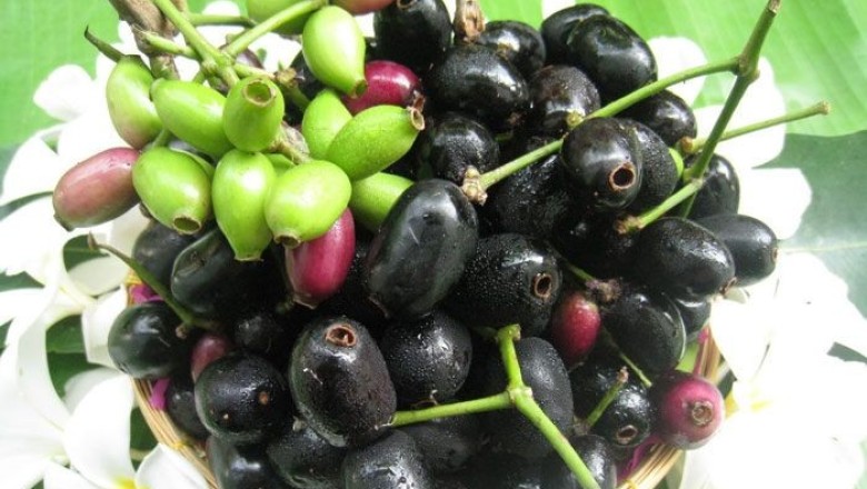 หว้า สรรพคุณและประโยชน์