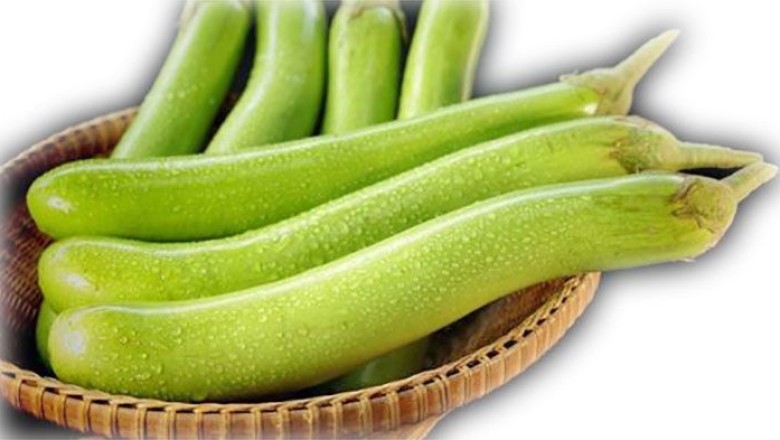 มะเขือยาว สรรพคุณและประโยชน์