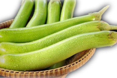 มะเขือยาว สรรพคุณและประโยชน์