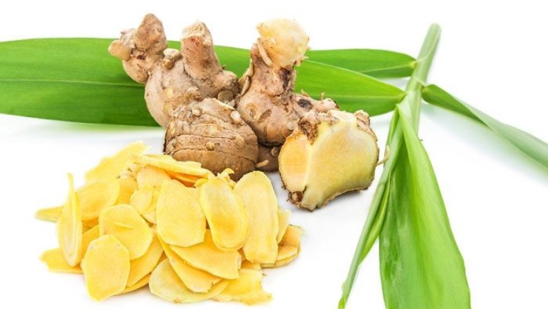 ว่านชักมดลูก สรรพคุณและประโยชน์