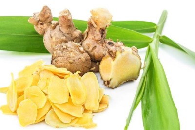 ว่านชักมดลูก สรรพคุณและประโยชน์