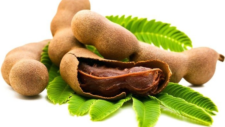 มะขาม สรรพคุณและประโยชน์