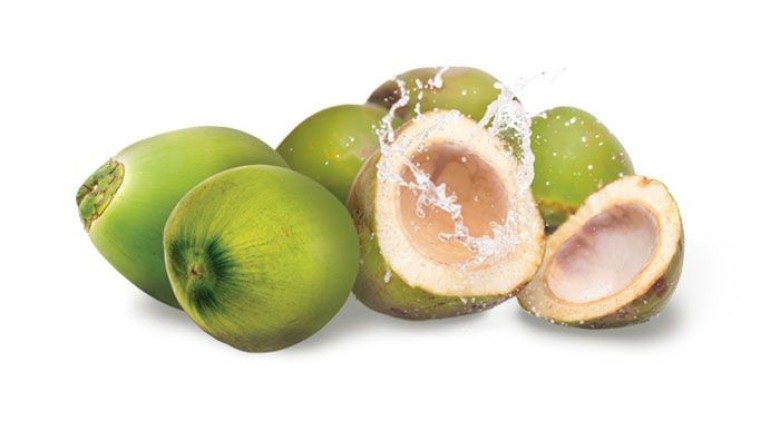 มะพร้าว สรรพคุณและประโยชน์