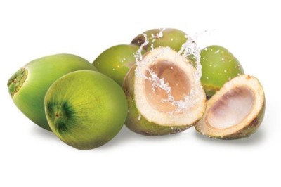 มะพร้าว สรรพคุณและประโยชน์