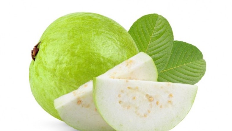 ฝรั่ง สรรพคุณและประโยชน์