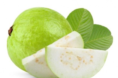 ฝรั่ง สรรพคุณและประโยชน์