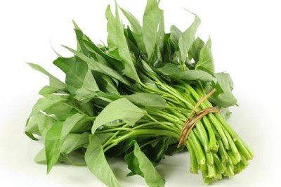 ผักบุ้ง สรรพคุณและประโยชน์