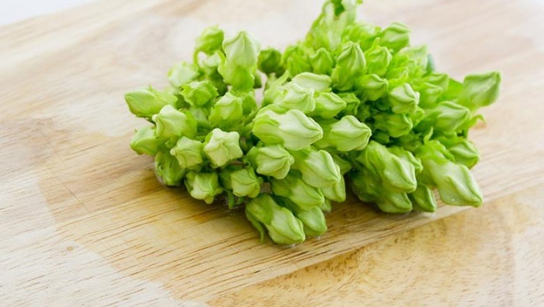 อยากบำรุงฮอร์โมนหญิงอย่าลืมต้นขจร