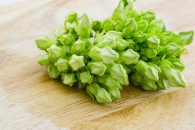 อยากบำรุงฮอร์โมนหญิงอย่าลืมต้นขจร