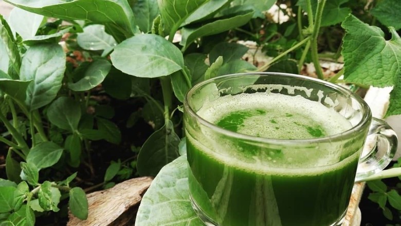 น้ำคะน้า เครื่องดื่ม